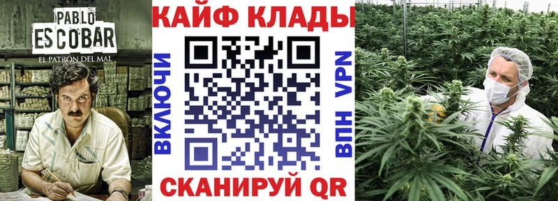 Где продают наркотики Зеленоградск Cocaine  гидра вход  Канабис  Альфа ПВП 