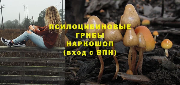 меф Богородицк